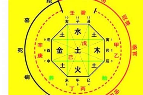 本命色查詢|生辰八字算命、五行喜用神查詢（免費測算）